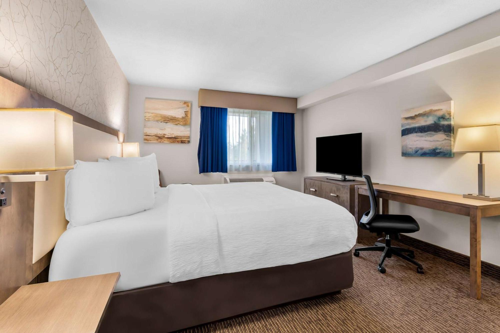 ג'ורג'טאון Best Western Halton Hills מראה חיצוני תמונה