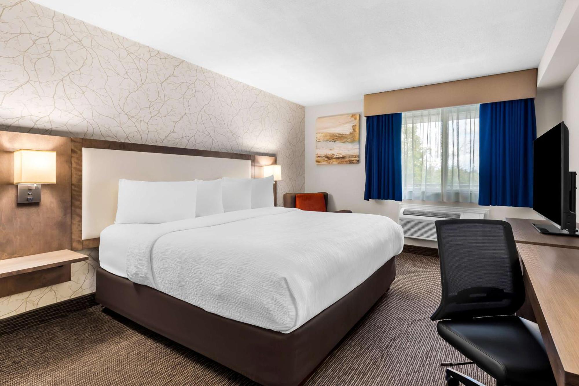 ג'ורג'טאון Best Western Halton Hills מראה חיצוני תמונה